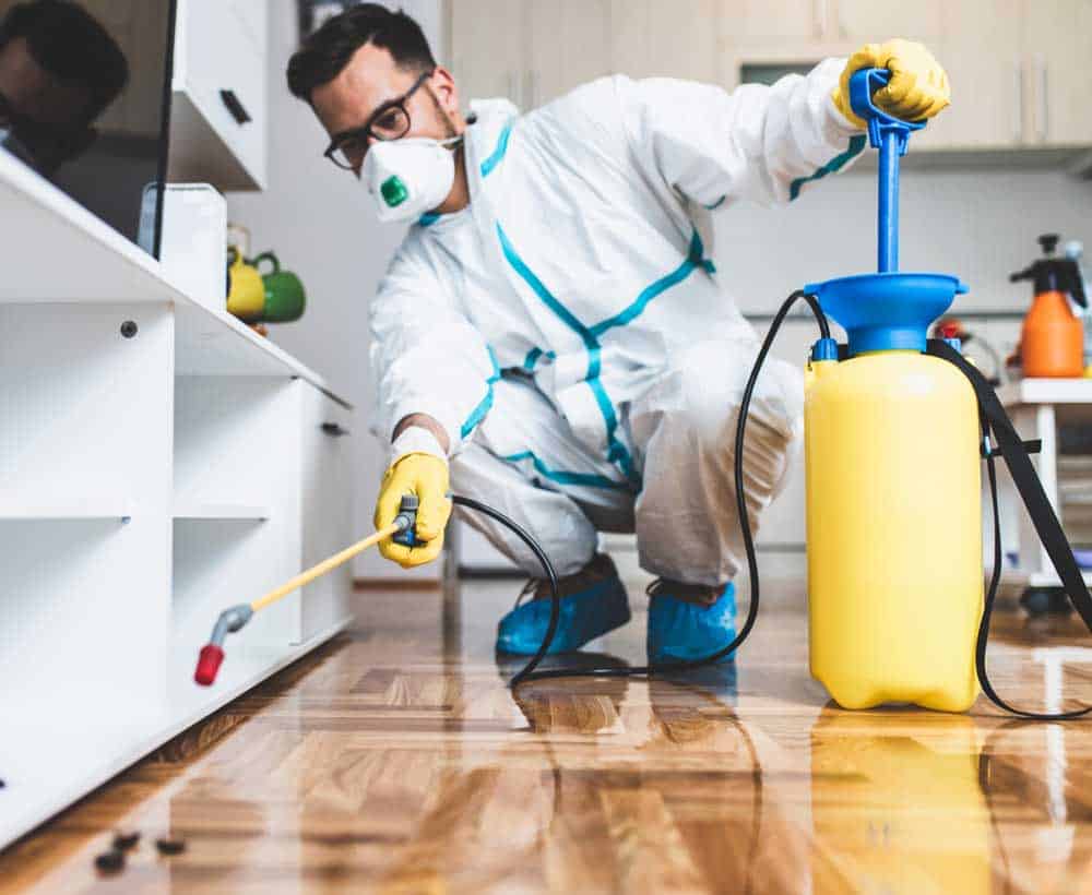 Pest control professional spraying chemicals on the floor for termite treatment.